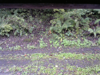 長野県菅平高原 ゆたか山荘 南側 2025/10/05 07:00