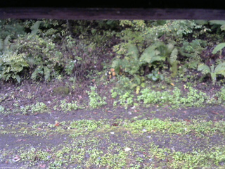 長野県菅平高原 ゆたか山荘 南側 2025/10/05 07:15