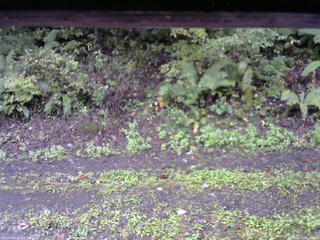 長野県菅平高原 ゆたか山荘 南側 2025/10/05 07:30