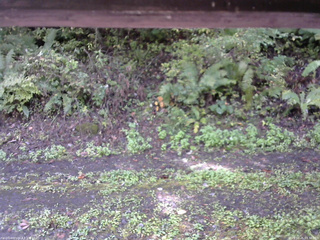 長野県菅平高原 ゆたか山荘 南側 2025/10/05 09:30