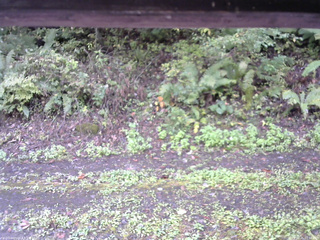 長野県菅平高原 ゆたか山荘 南側 2025/10/05 10:00