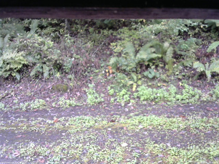 長野県菅平高原 ゆたか山荘 南側 2025/10/05 10:30