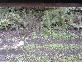 長野県菅平高原 ゆたか山荘 南側 2025/10/05 11:00