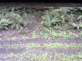 長野県菅平高原 ゆたか山荘 南側 2025/10/05 11:30