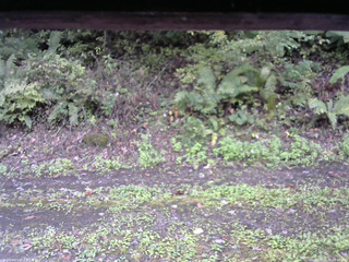 長野県菅平高原 ゆたか山荘 南側 2025/10/05 11:45