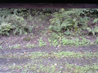 長野県菅平高原 ゆたか山荘 南側 2025/10/05 12:00