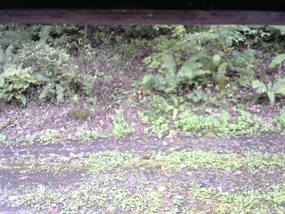 長野県菅平高原 ゆたか山荘 南側 2025/10/05 12:15