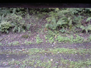 長野県菅平高原 ゆたか山荘 南側 2025/10/05 12:30