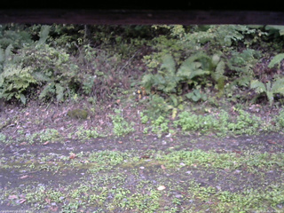 長野県菅平高原 ゆたか山荘 南側 2025/10/05 12:45