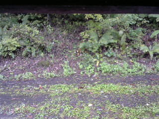 長野県菅平高原 ゆたか山荘 南側 2025/10/05 13:00