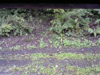 長野県菅平高原 ゆたか山荘 南側 2025/10/05 13:15