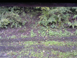 長野県菅平高原 ゆたか山荘 南側 2025/10/05 13:30