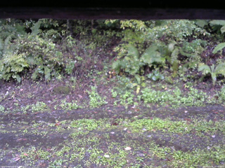 長野県菅平高原 ゆたか山荘 南側 2025/10/05 13:45