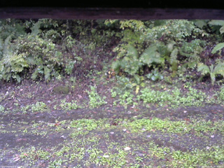 長野県菅平高原 ゆたか山荘 南側 2025/10/05 14:30