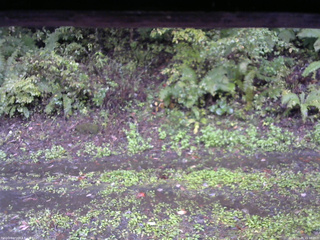 長野県菅平高原 ゆたか山荘 南側 2025/10/05 15:00