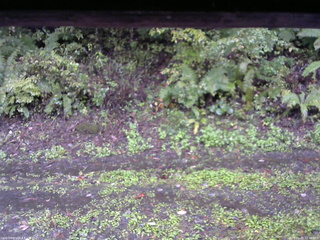 長野県菅平高原 ゆたか山荘 南側 2025/10/05 15:30