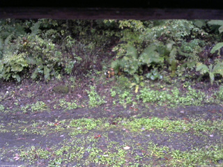 長野県菅平高原 ゆたか山荘 南側 2025/10/05 17:00