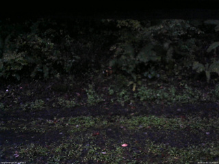 長野県菅平高原 ゆたか山荘 南側 2025/10/05 17:30