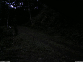 長野県菅平高原 ゆたか山荘 東側(坂下) 2025/10/05 05:30