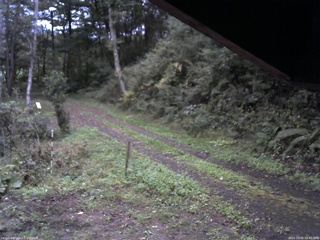 長野県菅平高原 ゆたか山荘 東側(坂下) 2025/10/05 05:45