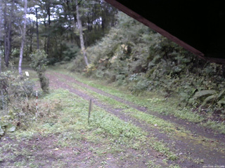 長野県菅平高原 ゆたか山荘 東側(坂下) 2025/10/05 06:15