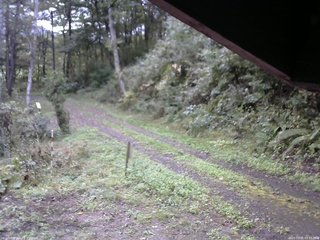 長野県菅平高原 ゆたか山荘 東側(坂下) 2025/10/05 07:15