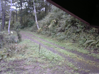 長野県菅平高原 ゆたか山荘 東側(坂下) 2025/10/05 07:45