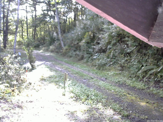 長野県菅平高原 ゆたか山荘 東側(坂下) 2025/10/05 08:15