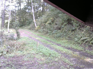 長野県菅平高原 ゆたか山荘 東側(坂下) 2025/10/05 11:00