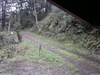 長野県菅平高原 ゆたか山荘 東側(坂下) 2025/10/05 16:45