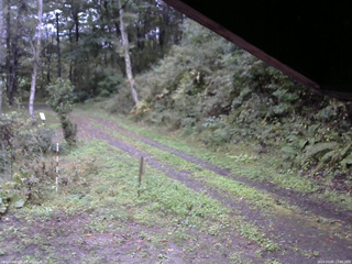 長野県菅平高原 ゆたか山荘 東側(坂下) 2025/10/05 17:00
