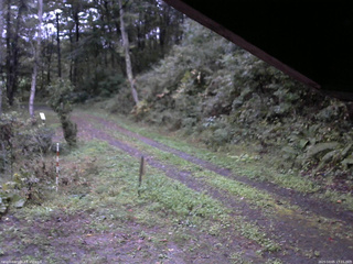 長野県菅平高原 ゆたか山荘 東側(坂下) 2025/10/05 17:15