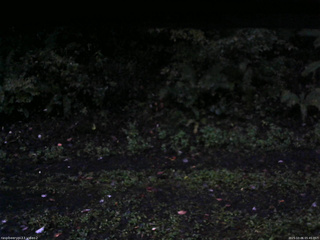 長野県菅平高原 ゆたか山荘 南側 2025/10/06 05:45