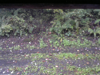 長野県菅平高原 ゆたか山荘 南側 2025/10/06 06:15