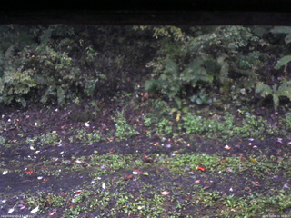 長野県菅平高原 ゆたか山荘 南側 2025/10/06 06:30