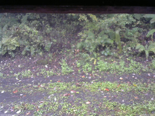 長野県菅平高原 ゆたか山荘 南側 2025/10/06 06:45