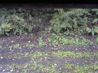 長野県菅平高原 ゆたか山荘 南側 2025/10/06 07:00