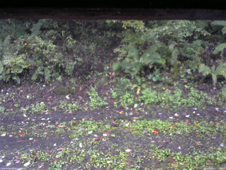 長野県菅平高原 ゆたか山荘 南側 2025/10/06 07:15