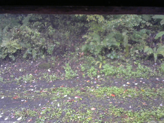 長野県菅平高原 ゆたか山荘 南側 2025/10/06 07:30