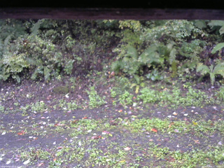 長野県菅平高原 ゆたか山荘 南側 2025/10/06 07:45