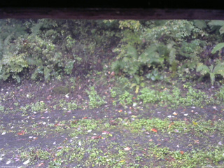 長野県菅平高原 ゆたか山荘 南側 2025/10/06 08:00