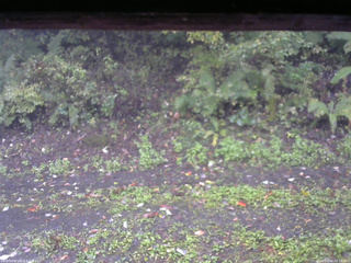 長野県菅平高原 ゆたか山荘 南側 2025/10/06 08:15