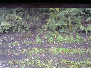 長野県菅平高原 ゆたか山荘 南側 2025/10/06 08:30