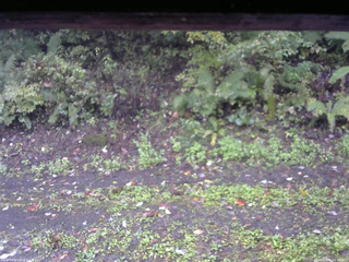 長野県菅平高原 ゆたか山荘 南側 2025/10/06 09:30