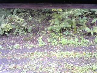 長野県菅平高原 ゆたか山荘 南側 2025/10/06 10:30