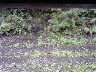 長野県菅平高原 ゆたか山荘 南側 2025/10/06 11:00