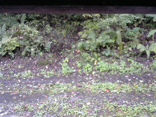 長野県菅平高原 ゆたか山荘 南側 2025/10/06 11:15