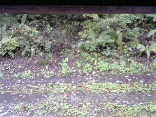 長野県菅平高原 ゆたか山荘 南側 2025/10/06 11:30