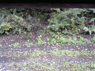 長野県菅平高原 ゆたか山荘 南側 2025/10/06 11:45