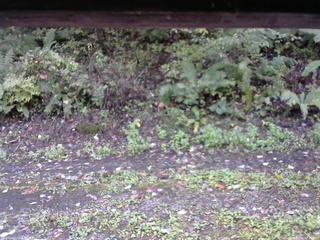 長野県菅平高原 ゆたか山荘 南側 2025/10/06 12:15